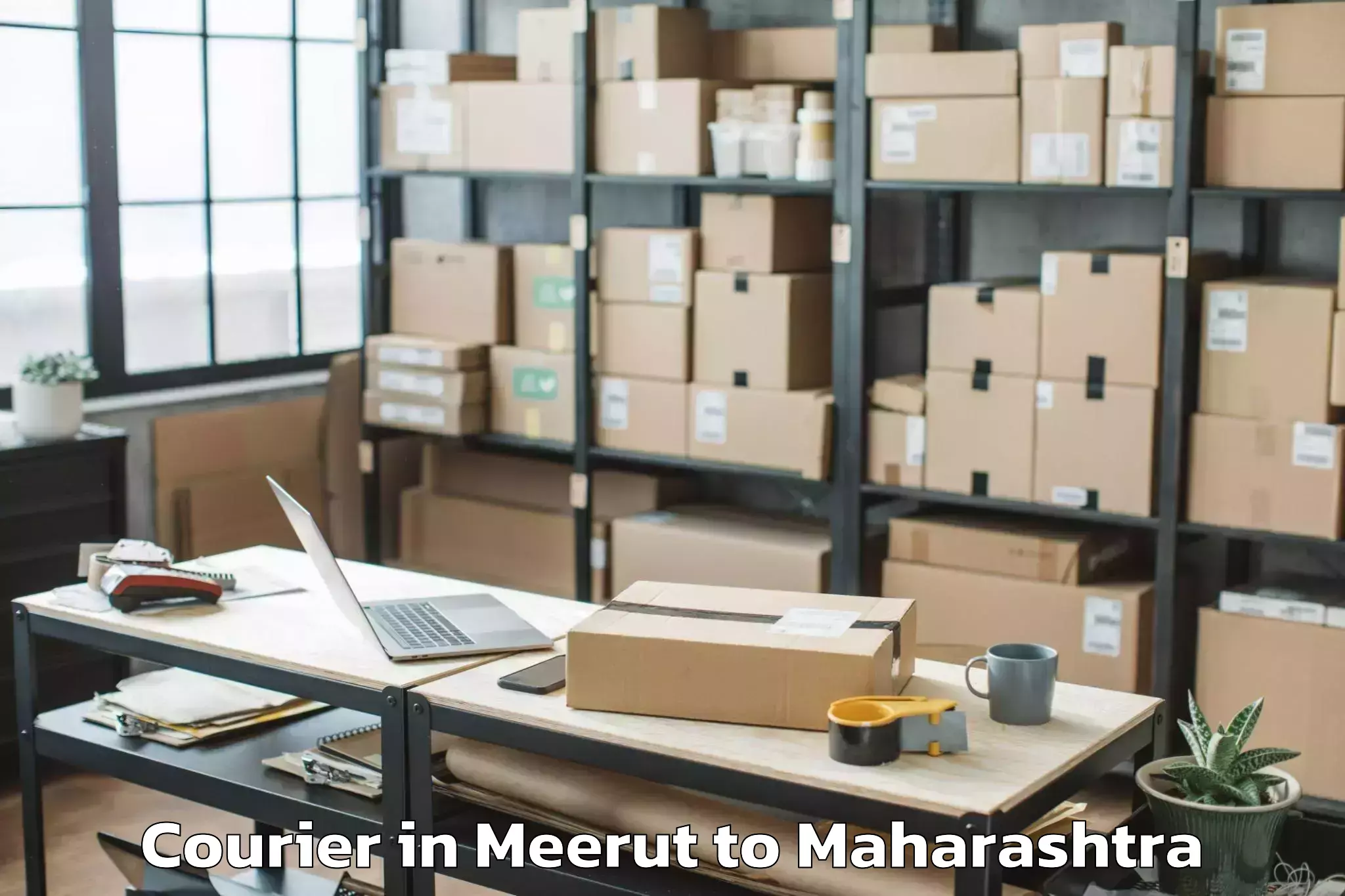 Book Meerut to Soegaon Courier Online